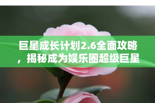 巨星成长计划2.6全面攻略，揭秘成为娱乐圈超级巨星的秘诀