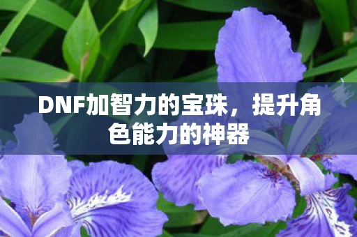 DNF加智力的宝珠，提升角色能力的神器