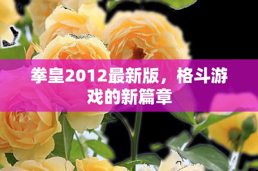 拳皇2012最新版，格斗游戏的新篇章