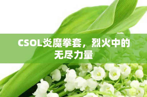 CSOL炎魔拳套，烈火中的无尽力量