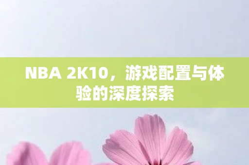 NBA 2K10，游戏配置与体验的深度探索