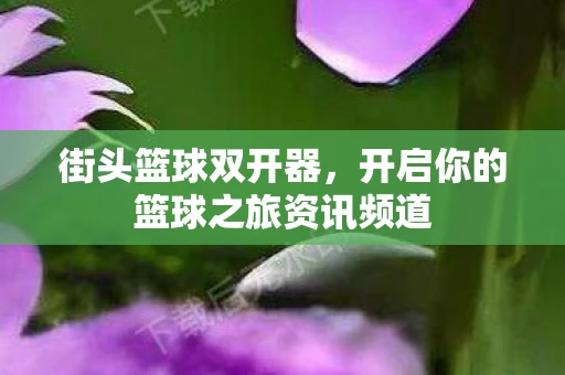 街头篮球双开器，开启你的篮球之旅资讯频道