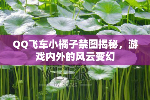 QQ飞车小橘子禁图揭秘，游戏内外的风云变幻