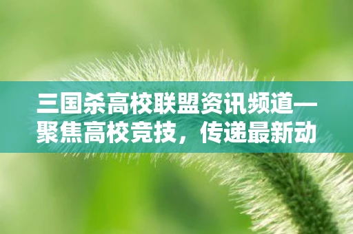 三国杀高校联盟资讯频道—聚焦高校竞技，传递最新动态