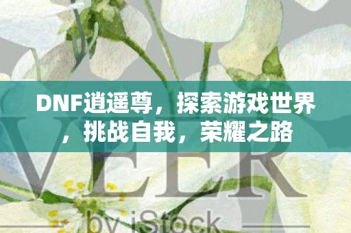 DNF逍遥尊，探索游戏世界，挑战自我，荣耀之路