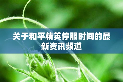 关于和平精英停服时间的最新资讯频道