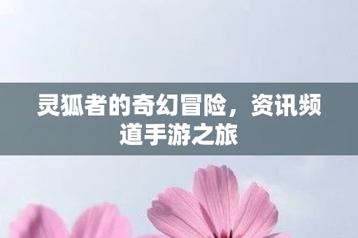 灵狐者的奇幻冒险，资讯频道手游之旅