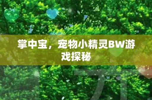 宠物小精灵BW游戏探秘图片