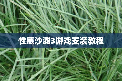 性感沙滩3游戏安装教程