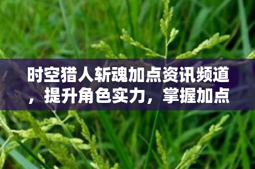 时空猎人斩魂加点资讯频道，提升角色实力，掌握加点技巧