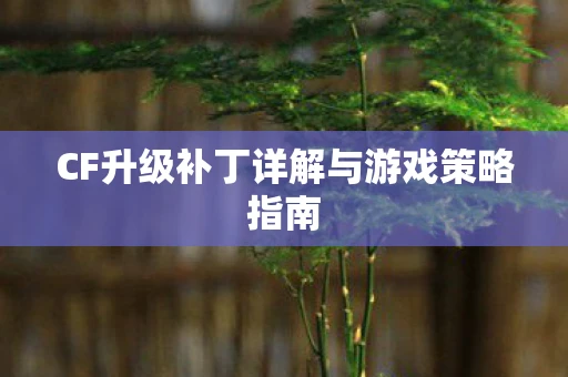 CF升级补丁详解与游戏策略指南