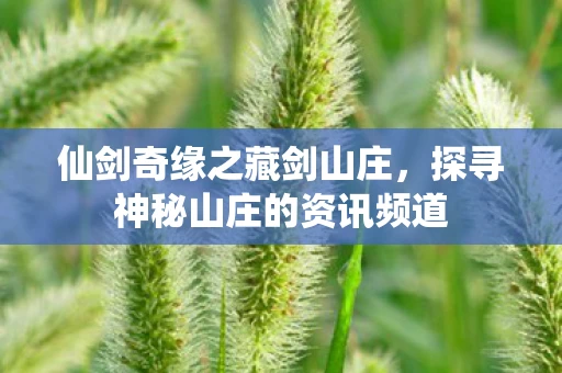 仙剑奇缘之藏剑山庄，探寻神秘山庄的资讯频道