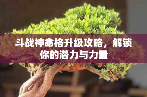斗战神命格升级攻略，解锁你的潜力与力量