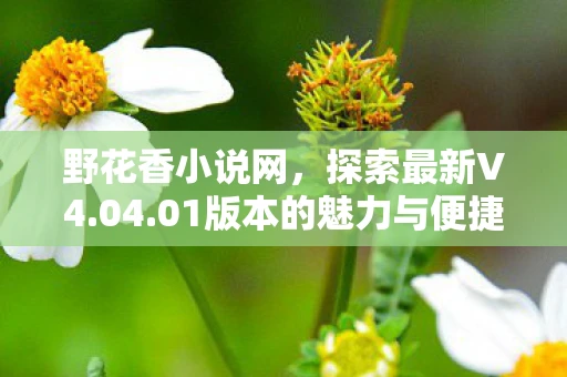 野花香小说网，探索最新V4.04.01版本的魅力与便捷