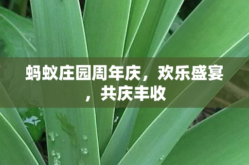 蚂蚁庄园周年庆，欢乐盛宴，共庆丰收