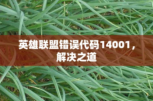 英雄联盟错误代码14001，解决之道