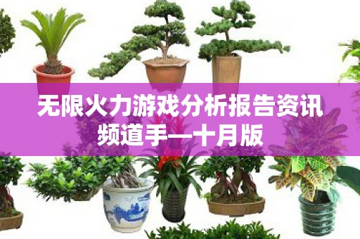 无限火力游戏分析报告资讯频道手—十月版