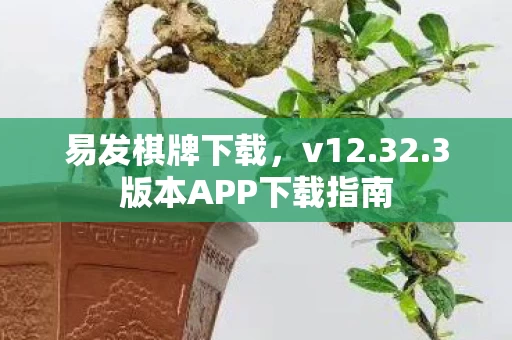 3版本APP下载指南图片