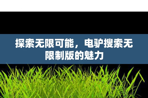 电驴搜索无限制版的魅力图片