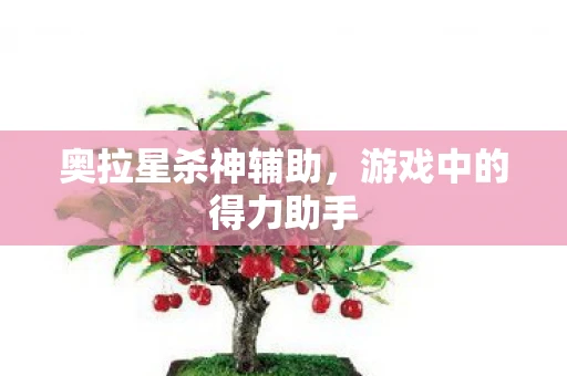 奥拉星杀神辅助，游戏中的得力助手