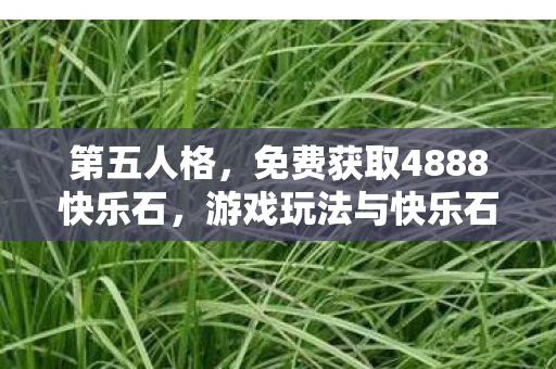 第五人格，免费获取4888快乐石，游戏玩法与快乐石的全方位解析