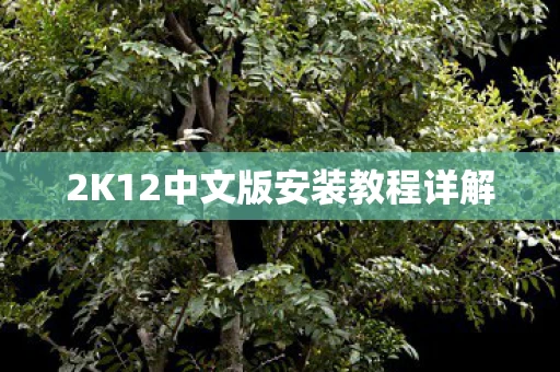 2K12中文版安装教程详解