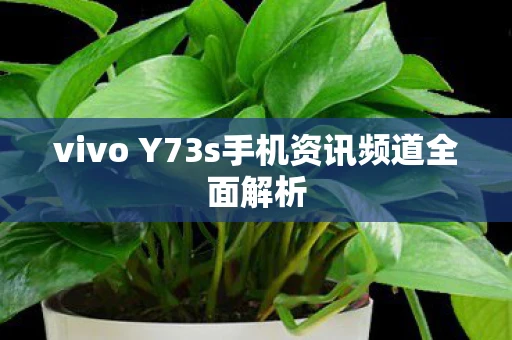 vivo Y73s手机资讯频道全面解析