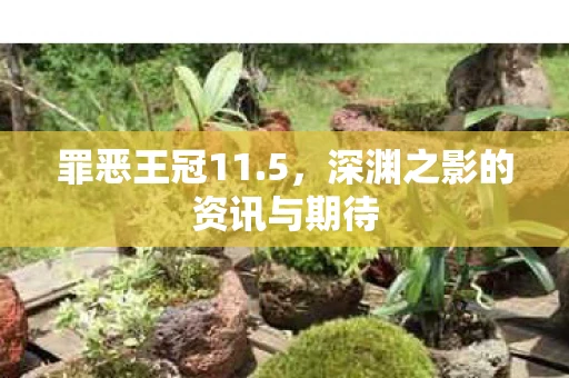 罪恶王冠11.5，深渊之影的资讯与期待