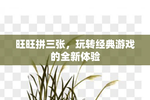 旺旺拼三张，玩转经典游戏的全新体验