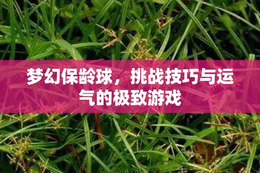 梦幻保龄球，挑战技巧与运气的极致游戏