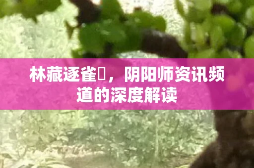 林藏逐雀鹯，阴阳师资讯频道的深度解读