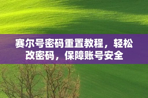 赛尔号密码重置教程，轻松改密码，保障账号安全