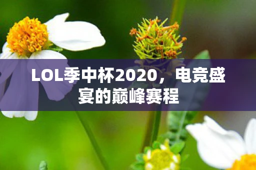 LOL季中杯2020，电竞盛宴的巅峰赛程