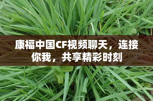 康福中国CF视频聊天图片