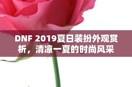 DNF 2019夏日装扮外观赏析，清凉一夏的时尚风采
