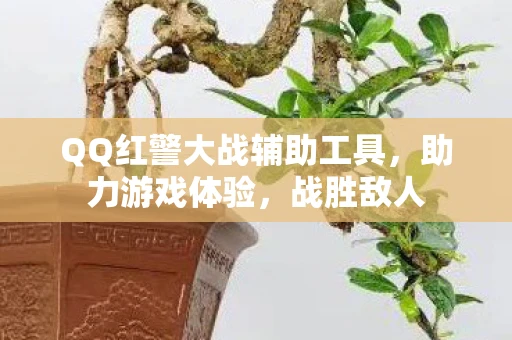 QQ红警大战辅助工具，助力游戏体验，战胜敌人