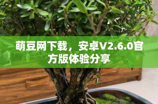 萌豆网下载，安卓V2.6.0官方版体验分享