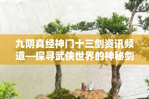 九阴真经神门十三剑资讯频道—探寻武侠世界的神秘剑法