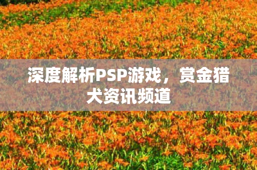 深度解析PSP游戏，赏金猎犬资讯频道