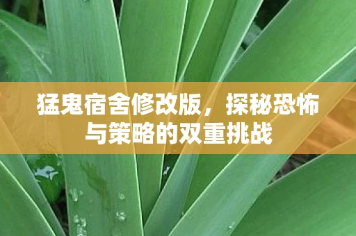 猛鬼宿舍修改版，探秘恐怖与策略的双重挑战