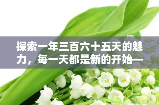 探索一年三百六十五天的魅力，每一天都是新的开始—以365天中文版为例
