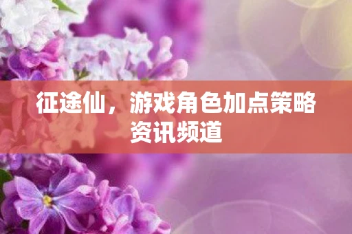 征途仙，游戏角色加点策略资讯频道