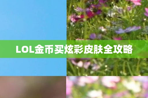 LOL金币买炫彩皮肤全攻略