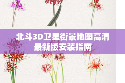 北斗3D卫星街景地图高清最新版安装指南
