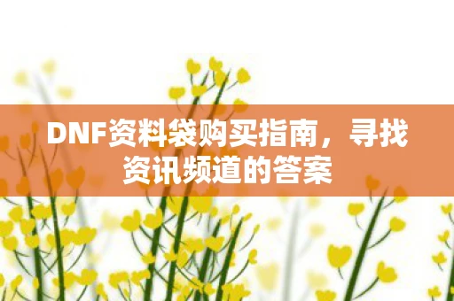 DNF资料袋购买指南，寻找资讯频道的答案