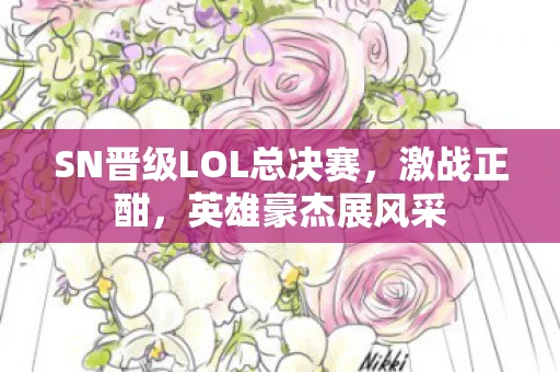 SN晋级LOL总决赛，激战正酣，英雄豪杰展风采