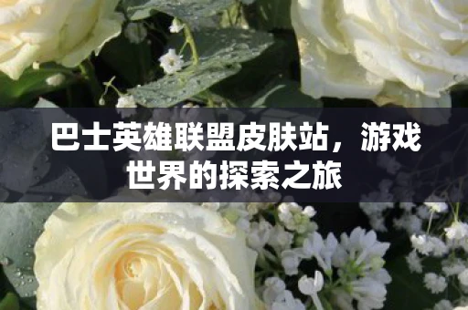 巴士英雄联盟皮肤站，游戏世界的探索之旅