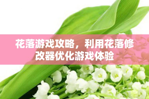 花落游戏攻略，利用花落修改器优化游戏体验