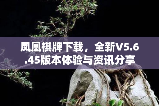 45版本体验与资讯分享图片