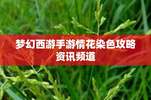 梦幻西游手游情花染色攻略资讯频道